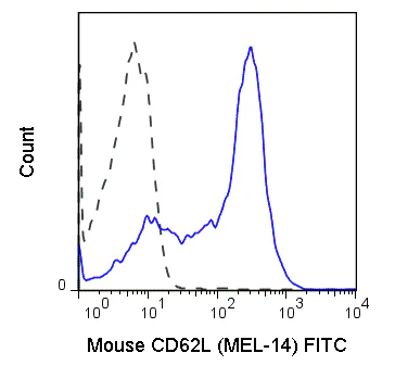 FITC Anti-Mouse CD62L (L-Selectin) (MEL-14)