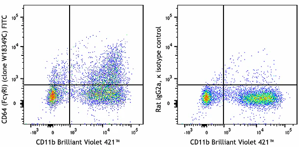 FITC anti-mouse CD64 (FcγRI)