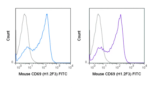 FITC Anti-Mouse CD69 (H1.2F3) - Image 2