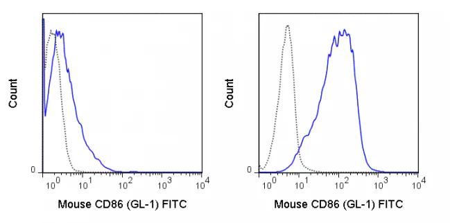 FITC Anti-Mouse CD86 (B7-2) (GL-1)