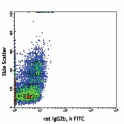 FITC anti-mouse/human CD11b - Image 2