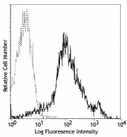 FITC anti-mouse/human CD44