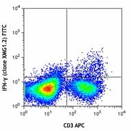 FITC anti-mouse IFN-γ