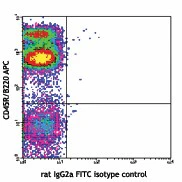 FITC anti-mouse Ly-51 - Image 2