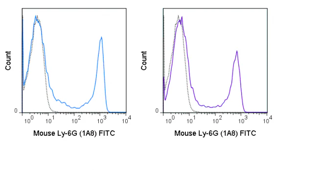 FITC Anti-Mouse Ly-6G (1A8) - Image 2