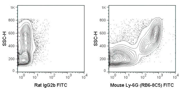 FITC Anti-Mouse Ly-6G/Ly-6C (Gr-1) (RB6-8C5)