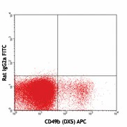 FITC anti-mouse Ly49D - Image 2