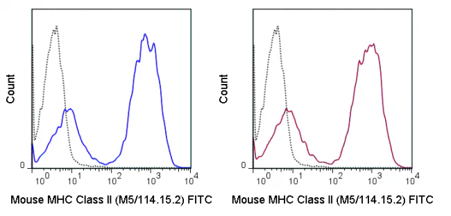FITC Anti-Mouse MHC Class II (I-A/I-E) (M5/114.15.2) - Image 2