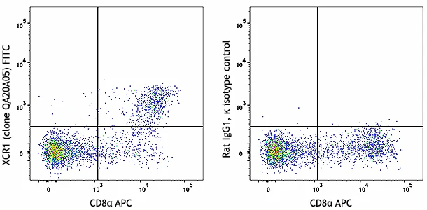 FITC anti-mouse/rat XCR1 Recombinant