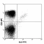 FITC anti-mouse TCR γ/δ