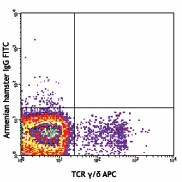FITC anti-mouse TCR Vγ1.1/Cr4 - Image 2