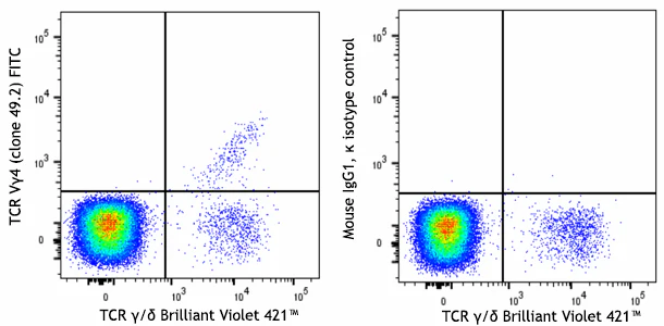 FITC anti-mouse TCR Vγ4