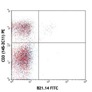 FITC anti-mouse TCR Vα8.3