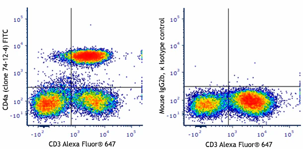 FITC anti-pig CD4a