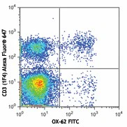 FITC anti-rat CD103 (αE Integrin)