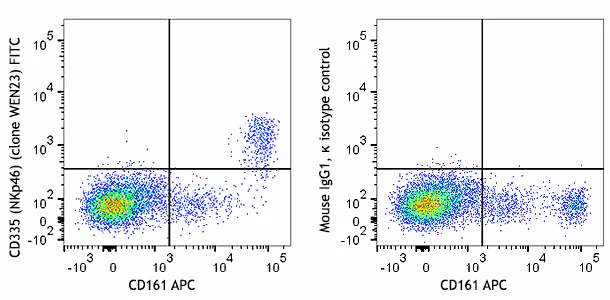 FITC anti-rat CD335 (NKp46)