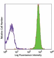 FITC anti-rat CD45