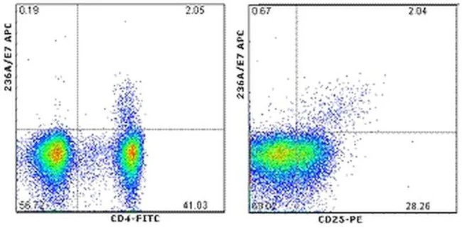 FOXP3 Monoclonal Antibody (236A/E7), APC, eBioscience