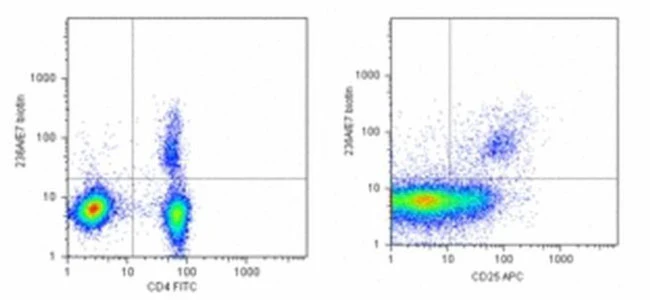 FOXP3 Monoclonal Antibody (236A/E7), Biotin, eBioscience