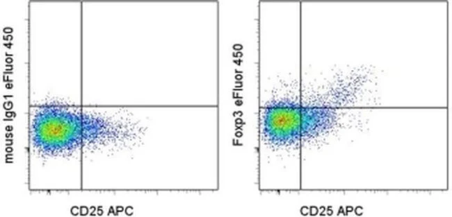 FOXP3 Monoclonal Antibody (236A/E7), eFluor 450, eBioscience