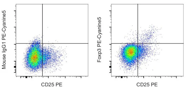 FOXP3 Monoclonal Antibody (236A/E7), PE-Cyanine5, eBioscience
