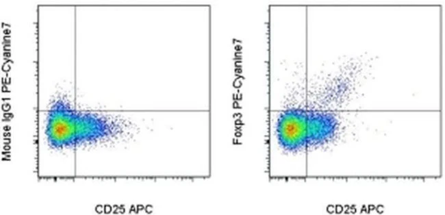 FOXP3 Monoclonal Antibody (236A/E7), PE-Cyanine7, eBioscience