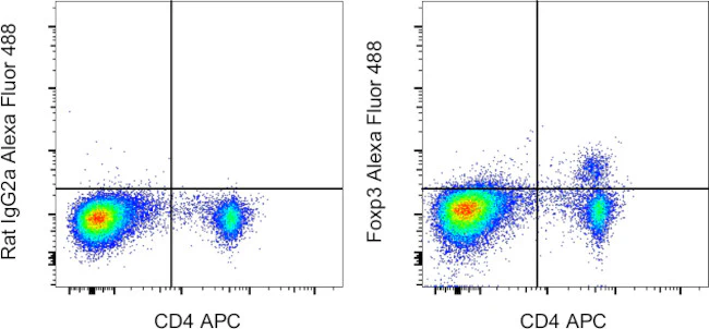 FOXP3 Monoclonal Antibody (FJK-16s), Alexa Fluor 488, eBioscience