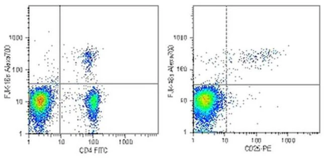 FOXP3 Monoclonal Antibody (FJK-16s), Alexa Fluor 700, eBioscience