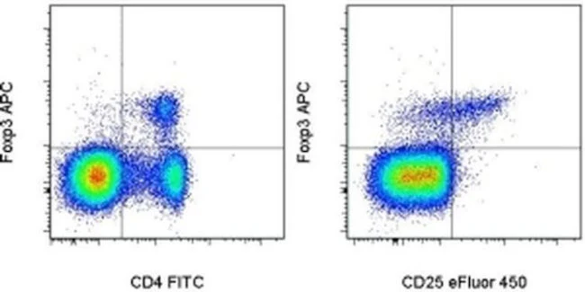 FOXP3 Monoclonal Antibody (FJK-16s), APC, eBioscience