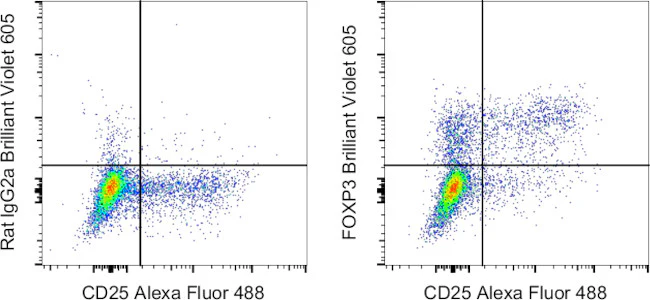 FOXP3 Monoclonal Antibody (FJK-16s), Brilliant Violet 605, eBioscience