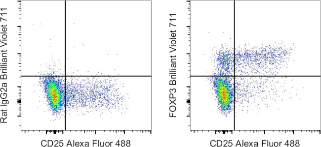 FOXP3 Monoclonal Antibody (FJK-16s), Brilliant Violet 711, eBioscience