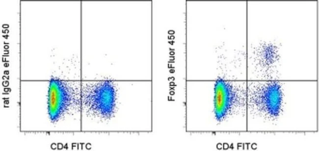 FOXP3 Monoclonal Antibody (FJK-16s), eFluor 450, eBioscience