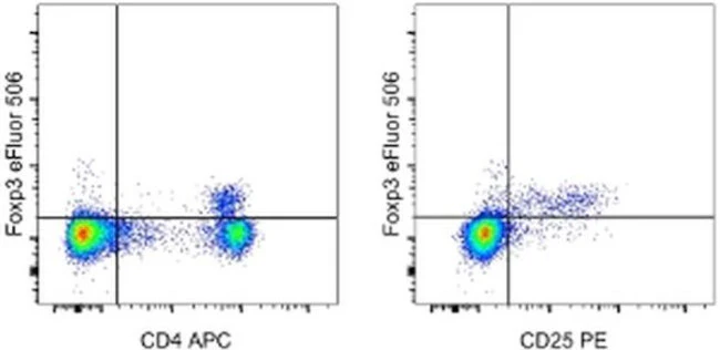 FOXP3 Monoclonal Antibody (FJK-16s), eFluor 506, eBioscience