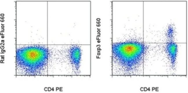 FOXP3 Monoclonal Antibody (FJK-16s), eFluor 660, eBioscience