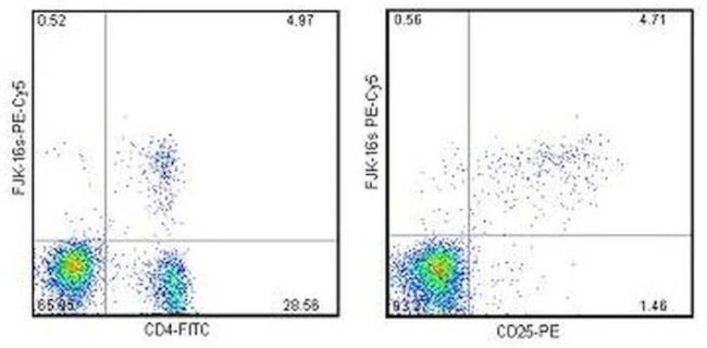 FOXP3 Monoclonal Antibody (FJK-16s), PE-Cyanine5, eBioscience