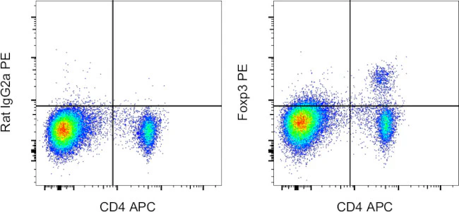 FOXP3 Monoclonal Antibody (FJK-16s), PE, eBioscience