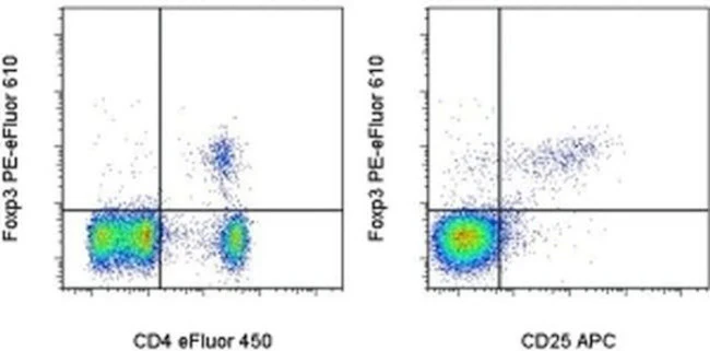 FOXP3 Monoclonal Antibody (FJK-16s), PE-eFluor 610, eBioscience