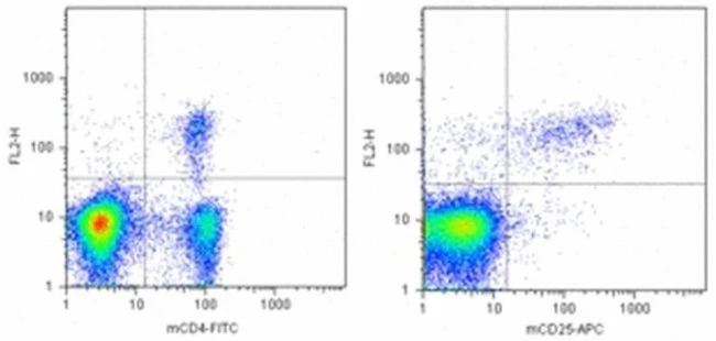 FOXP3 Monoclonal Antibody (NRRF-30), PE, eBioscience