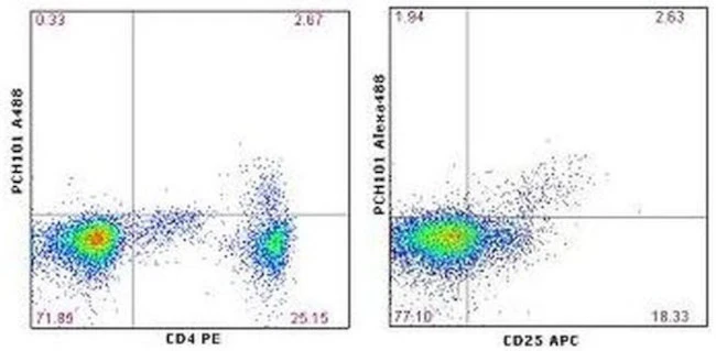 FOXP3 Monoclonal Antibody (PCH101), Alexa Fluor 488, eBioscience