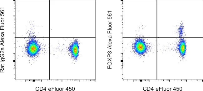 FOXP3 Monoclonal Antibody (PCH101), Alexa Fluor 561, eBioscience