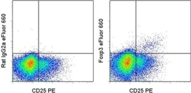 FOXP3 Monoclonal Antibody (PCH101), eFluor 660, eBioscience