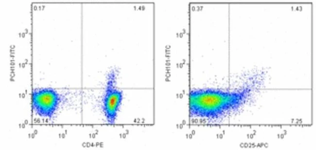 FOXP3 Monoclonal Antibody (PCH101), FITC, eBioscience