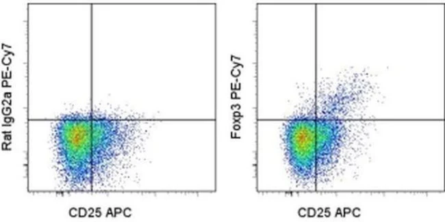 FOXP3 Monoclonal Antibody (PCH101), PE-Cyanine7, eBioscience