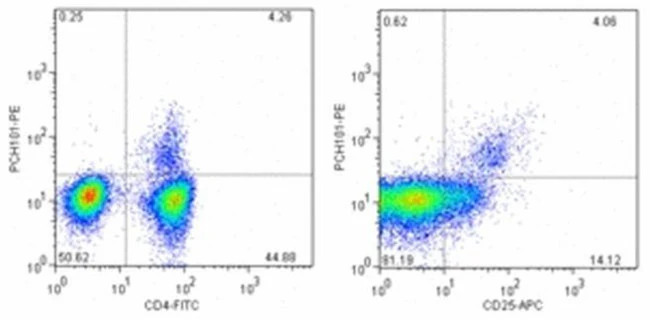 FOXP3 Monoclonal Antibody (PCH101), PE, eBioscience