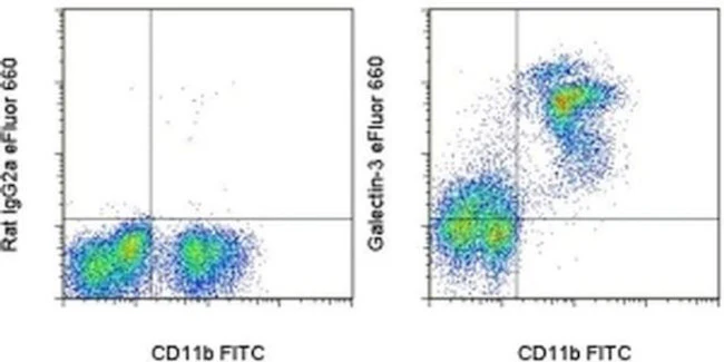 Galectin 3 Monoclonal Antibody (eBioM3/38 (M3/38)), eFluor 660, eBioscience