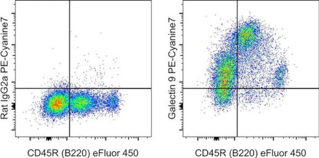 Galectin 9 Monoclonal Antibody (RG9-35), PE-Cyanine7, eBioscience