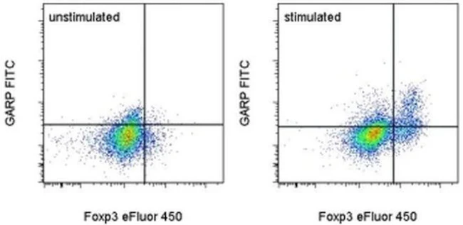 GARP Monoclonal Antibody (G14D9), FITC, eBioscience