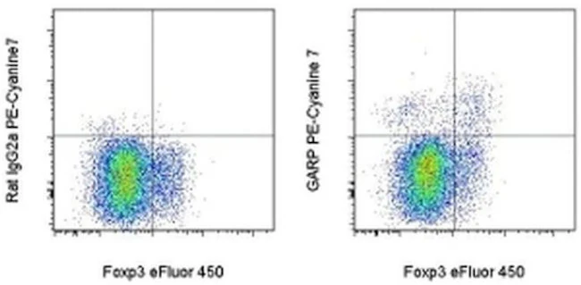 GARP Monoclonal Antibody (G14D9), PE-Cyanine7, eBioscience
