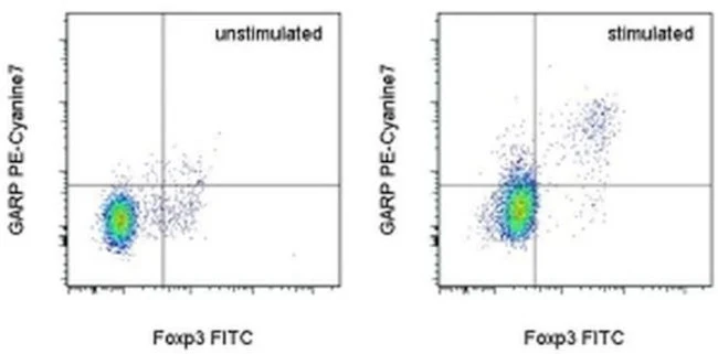 GARP Monoclonal Antibody (YGIC86), PE-Cyanine7, eBioscience