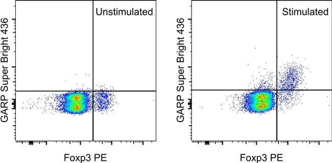 GARP Monoclonal Antibody (YGIC86), Super Bright™ 436, eBioscience™